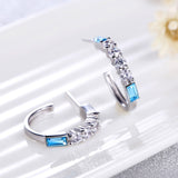 925 Sterling Silver Swarovski Elements Crystal Earring